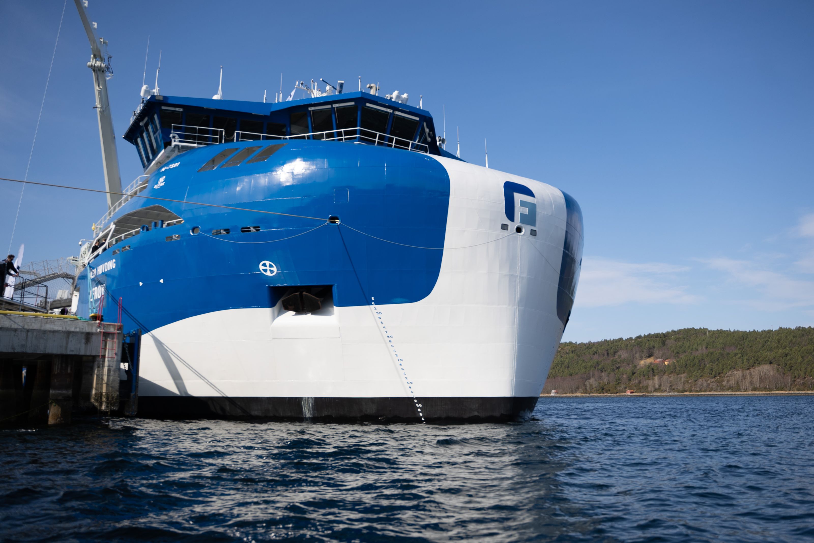 Gåsø Høvding