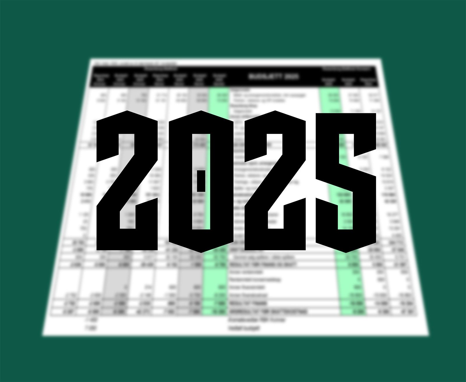 Budsjett 2025