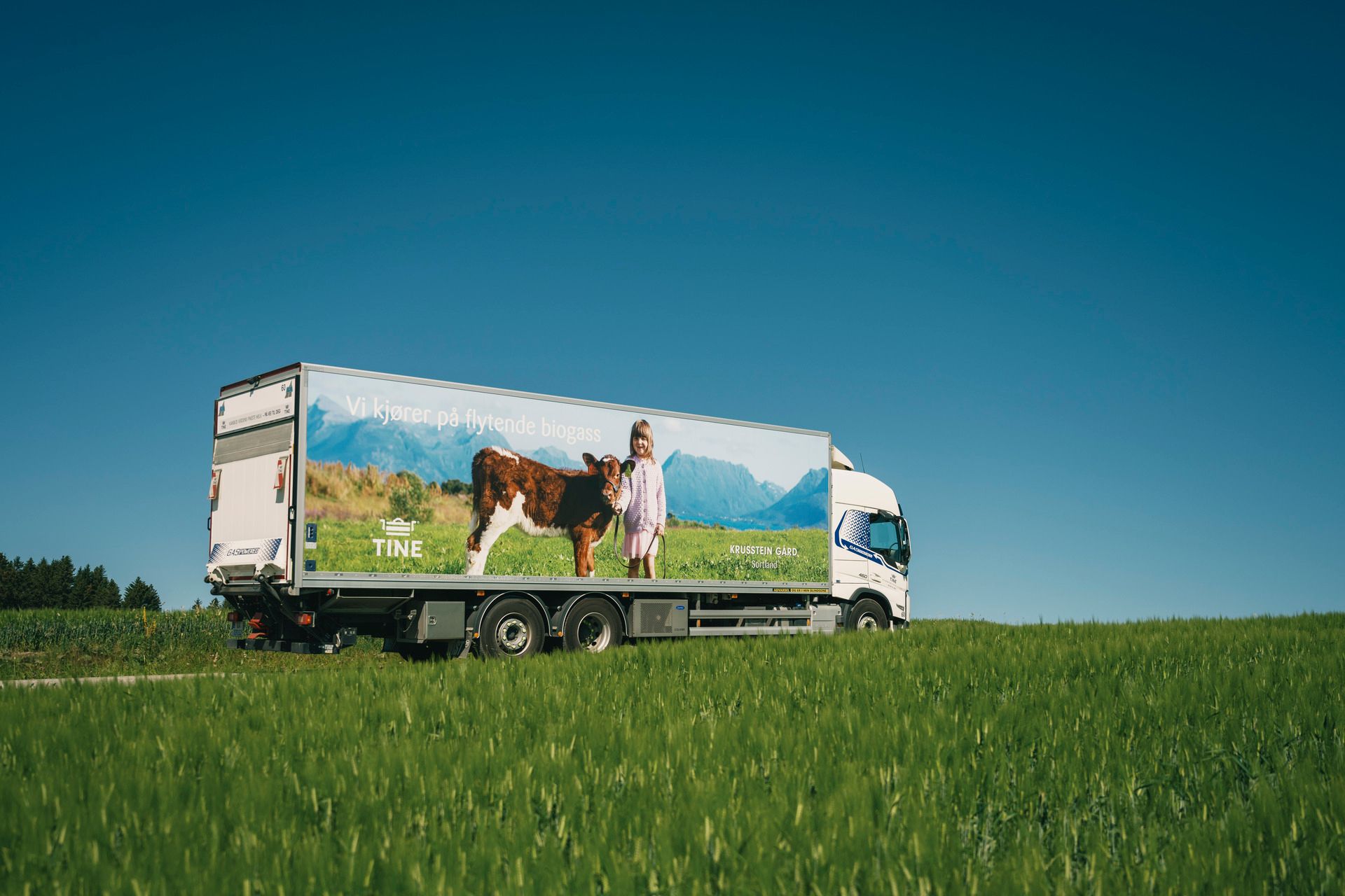 Elektrisk tungkjøretøy med melk som last på den åpne landsbygda. 