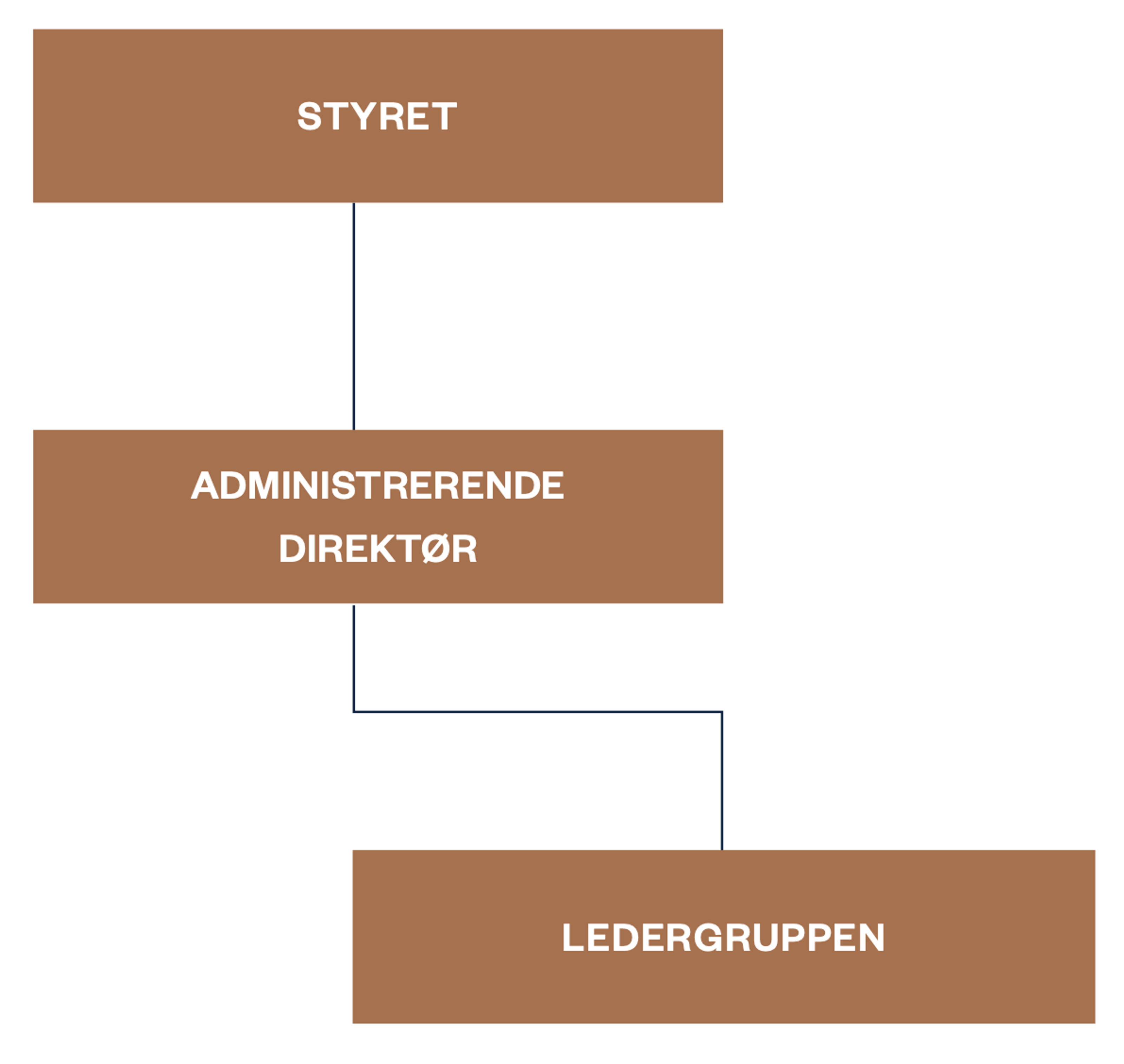 Styret til ledergruppen figur