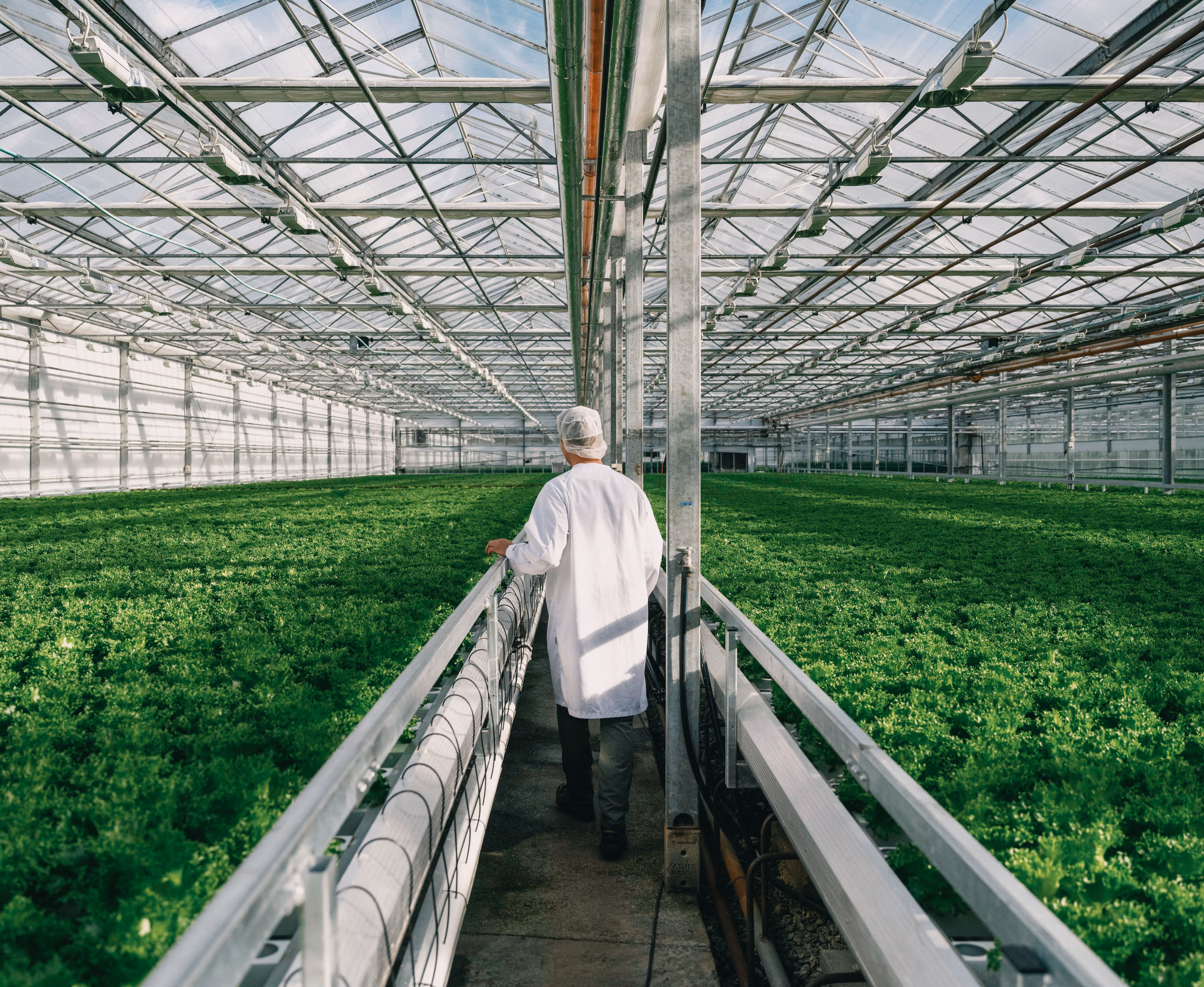 Mann i hvit fabrikkfrakk spaserer med ryggen til i Viken Gartneri på Frosta i Trøndelag.