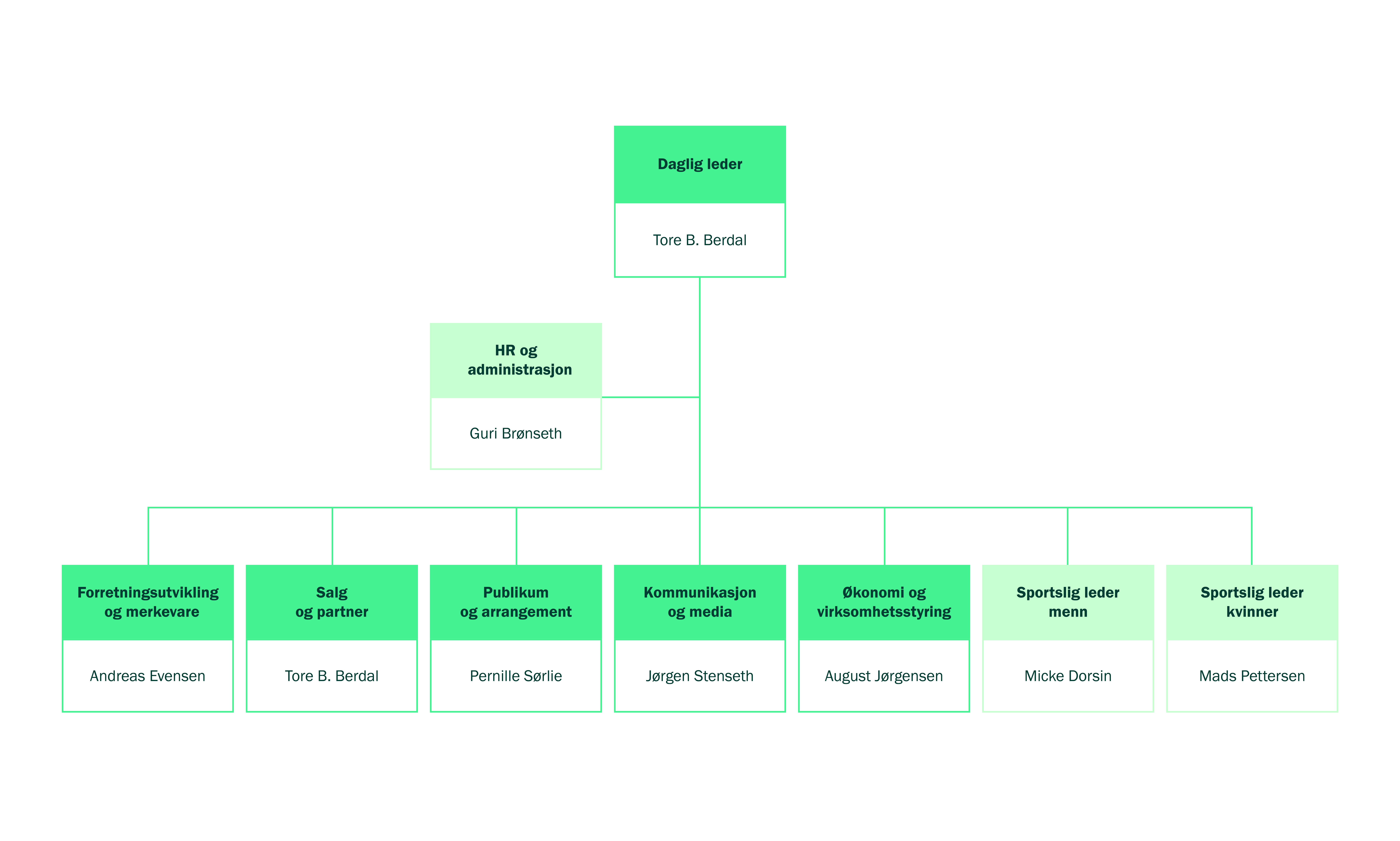 Organisasjonsstruktur